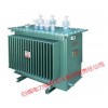 S11--10kV28