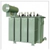 28zjlx-55p