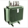 S9-M-01PE  10KVܷʽŵѹ28