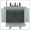 S11-M-302500/10-02TR 10KV28