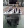 S11-M.LR-50028