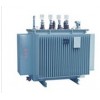S11-M-302500/10ϵ28