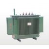 10kV S11-MS13-Mϵȫܷͽʽ28